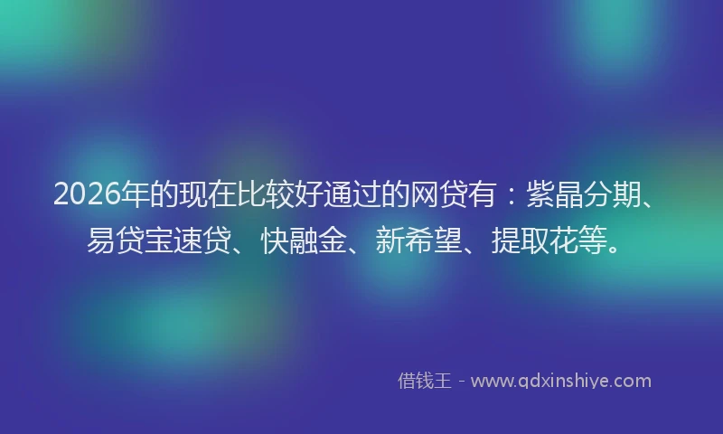 2026年的现在比较好通过的网贷有：紫晶分期、易贷宝速贷、快融金、新希望、提取花等。