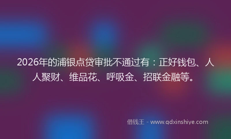2026年的浦银点贷审批不通过有：正好钱包、人人聚财、维品花、呼吸金、招联金融等。