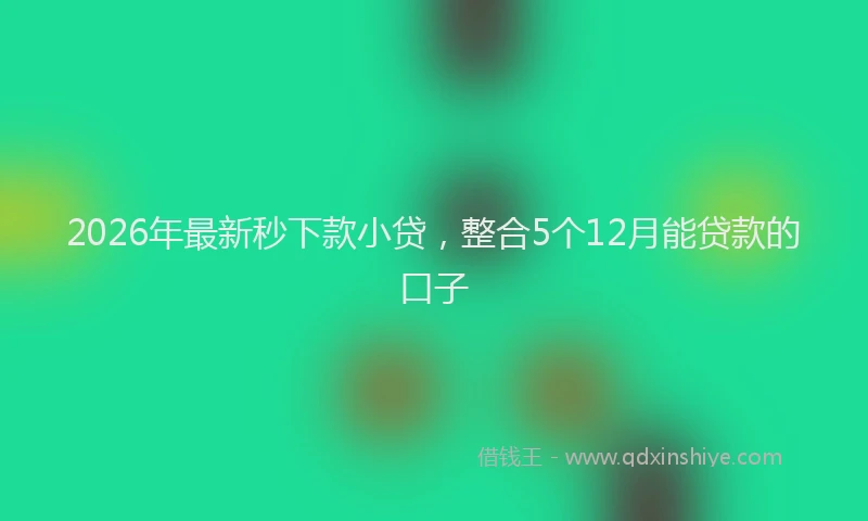 2026年最新秒下款小贷，整合5个12月能贷款的口子