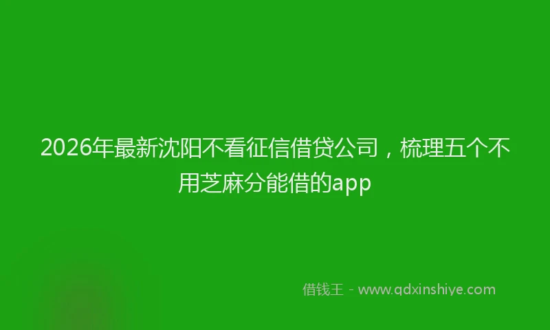 2026年最新沈阳不看征信借贷公司，梳理五个不用芝麻分能借的app