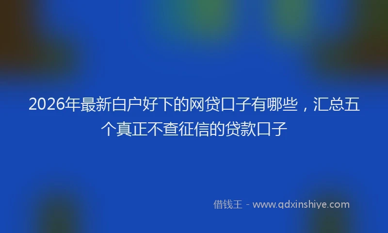 2026年最新白户好下的网贷口子有哪些，汇总五个真正不查征信的贷款口子