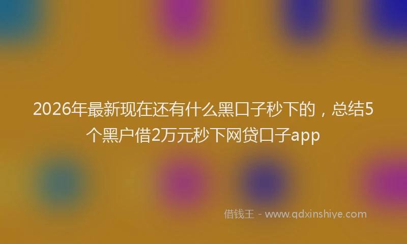 2026年最新现在还有什么黑口子秒下的，总结5个黑户借2万元秒下网贷口子app