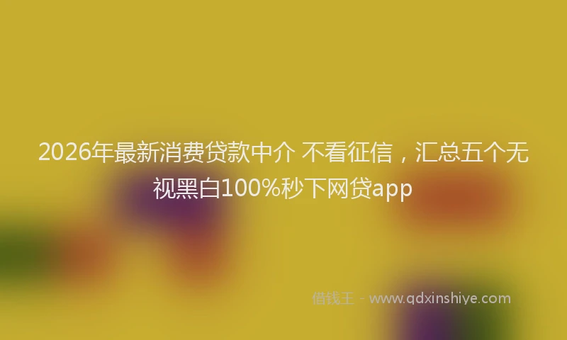 2026年最新消费贷款中介 不看征信，汇总五个无视黑白100%秒下网贷app