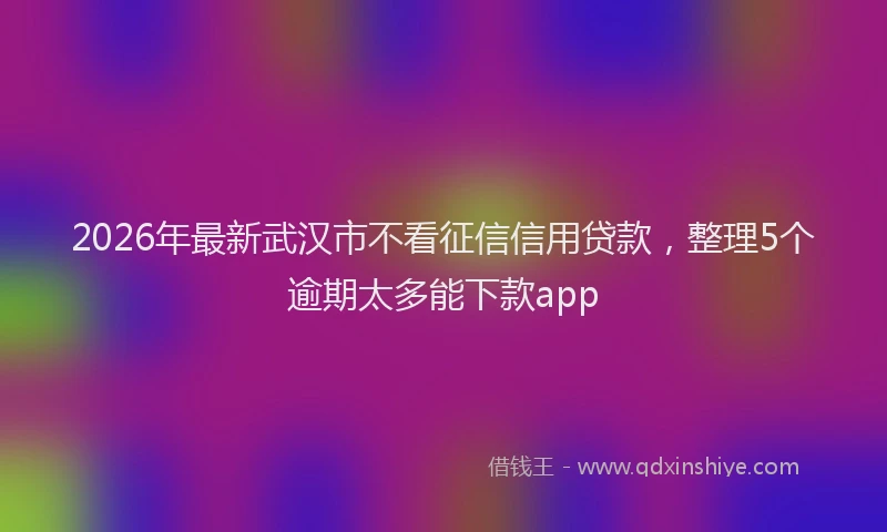 2026年最新武汉市不看征信信用贷款，整理5个逾期太多能下款app