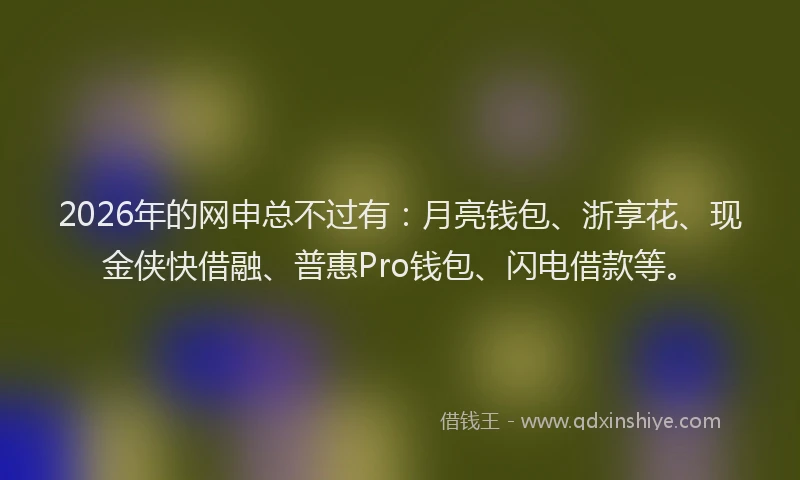 2026年的网申总不过有：月亮钱包、浙享花、现金侠快借融、普惠Pro钱包、闪电借款等。