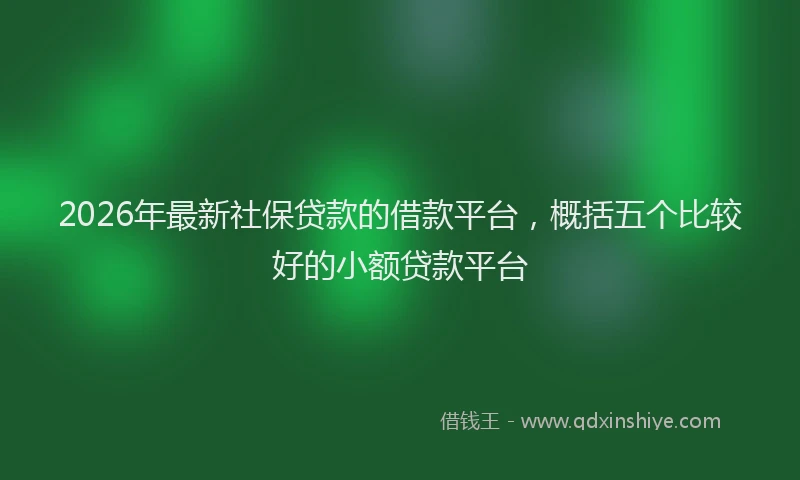 2026年最新社保贷款的借款平台，概括五个比较好的小额贷款平台
