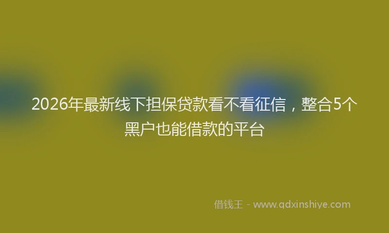 2026年最新线下担保贷款看不看征信，整合5个黑户也能借款的平台