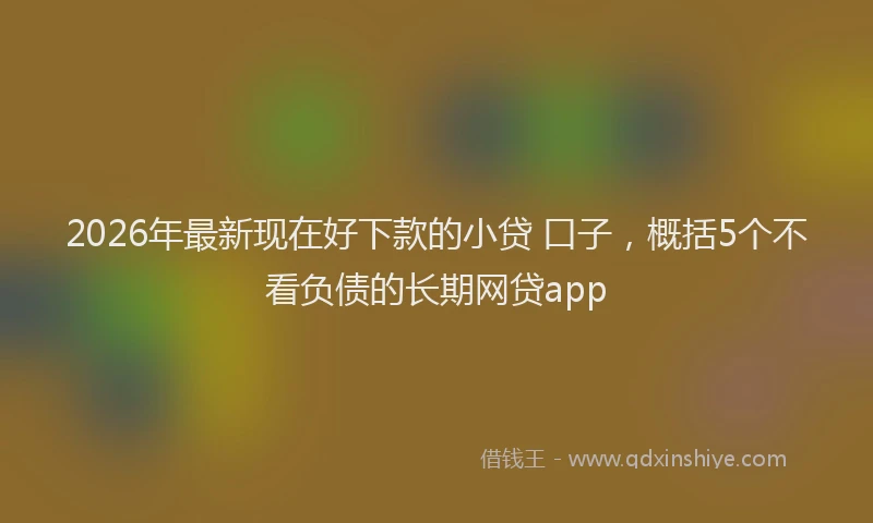 2026年最新现在好下款的小贷 口子，概括5个不看负债的长期网贷app