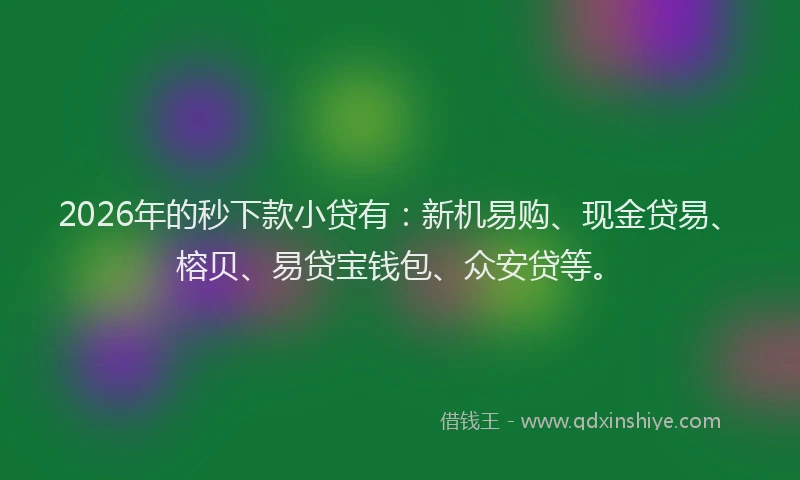 2026年的秒下款小贷有：新机易购、现金贷易、榕贝、易贷宝钱包、众安贷等。