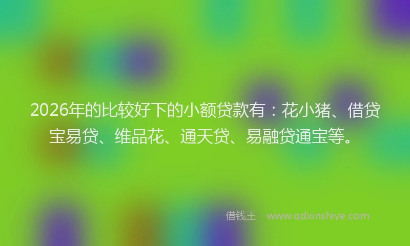 2026年的比较好下的小额贷款有：花小猪、借贷宝易贷、维品花、通天贷、易融贷通宝等。