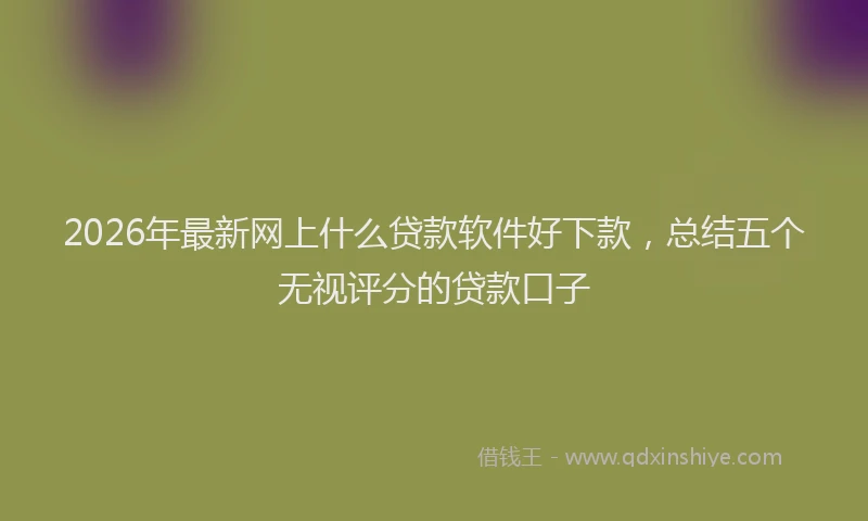 2026年最新网上什么贷款软件好下款，总结五个无视评分的贷款口子