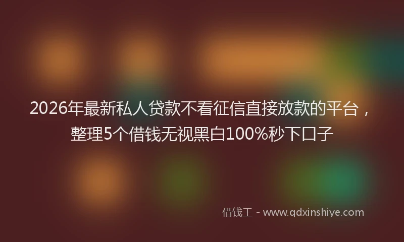 2026年最新私人贷款不看征信直接放款的平台，整理5个借钱无视黑白100%秒下口子
