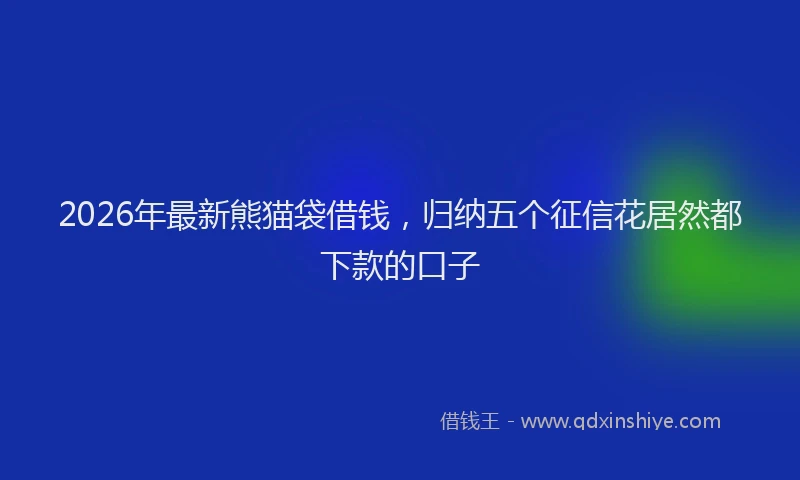 2026年最新熊猫袋借钱，归纳五个征信花居然都下款的口子