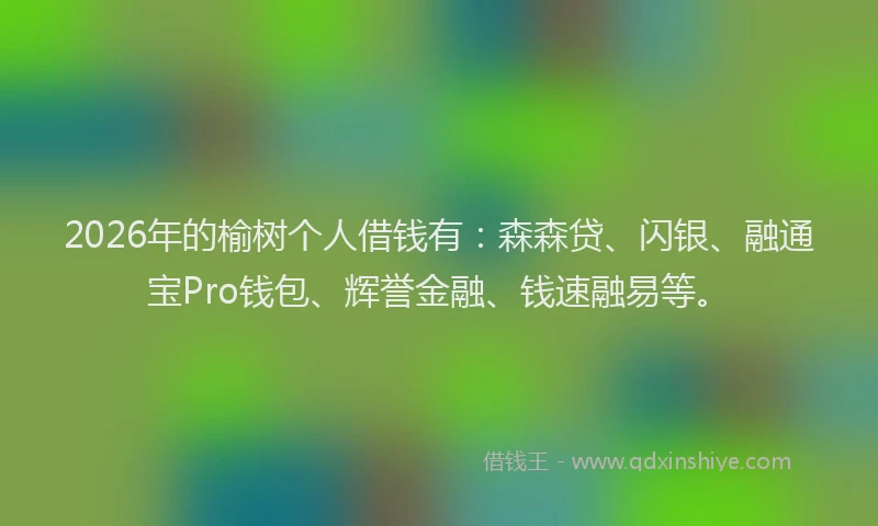 2026年的榆树个人借钱有：森森贷、闪银、融通宝Pro钱包、辉誉金融、钱速融易等。
