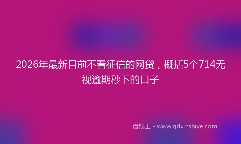 2026年最新目前不看征信的网贷，概括5个714无视逾期秒下的口子
