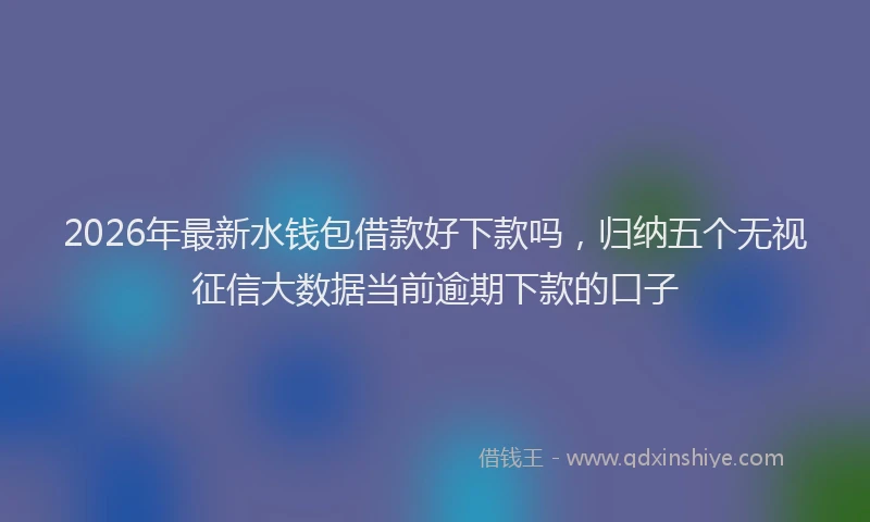 2026年最新水钱包借款好下款吗，归纳五个无视征信大数据当前逾期下款的口子