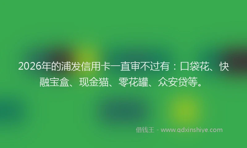 2026年的浦发信用卡一直审不过有：口袋花、快融宝盒、现金猫、零花罐、众安贷等。