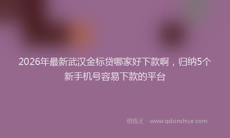 2026年最新武汉金标贷哪家好下款啊，归纳5个新手机号容易下款的平台