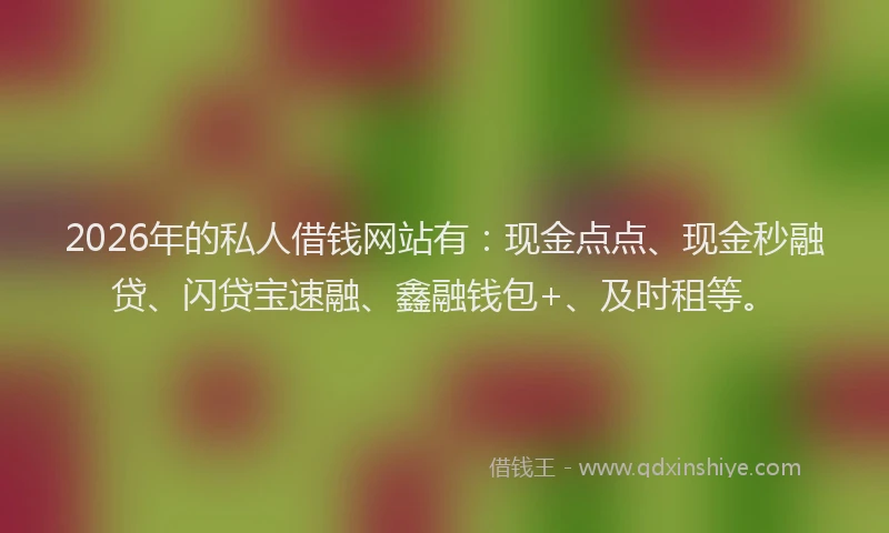 2026年的私人借钱网站有：现金点点、现金秒融贷、闪贷宝速融、鑫融钱包+、及时租等。