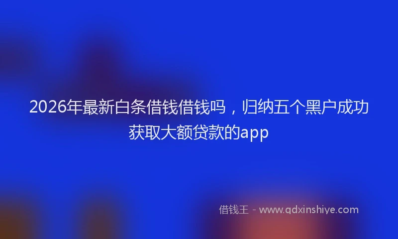 2026年最新白条借钱借钱吗，归纳五个黑户成功获取大额贷款的app