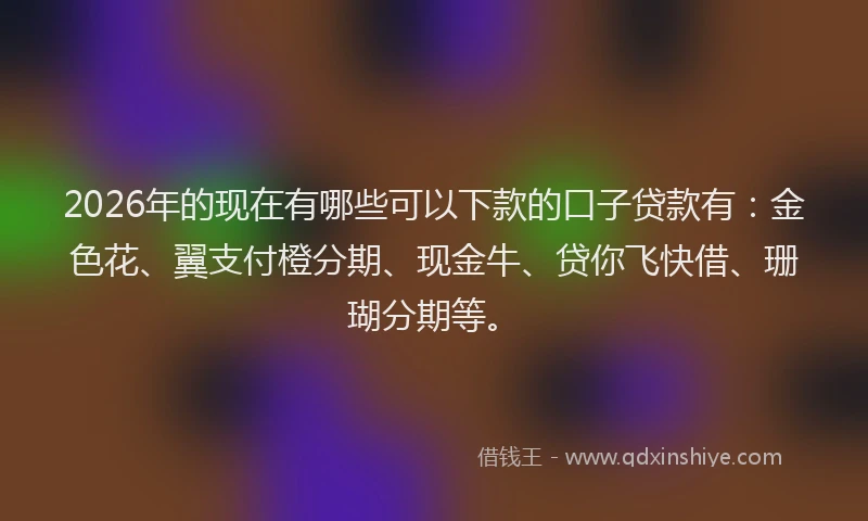 2026年的现在有哪些可以下款的口子贷款有：金色花、翼支付橙分期、现金牛、贷你飞快借、珊瑚分期等。