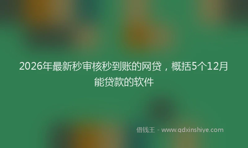 2026年最新秒审核秒到账的网贷，概括5个12月能贷款的软件
