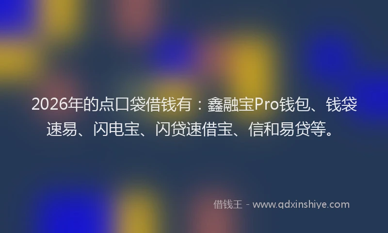 2026年的点口袋借钱有：鑫融宝Pro钱包、钱袋速易、闪电宝、闪贷速借宝、信和易贷等。