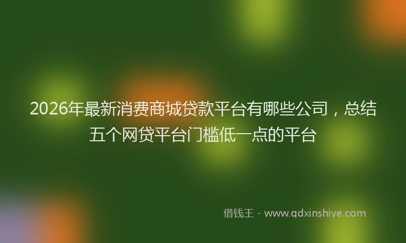 2026年最新消费商城贷款平台有哪些公司，总结五个网贷平台门槛低一点的平台