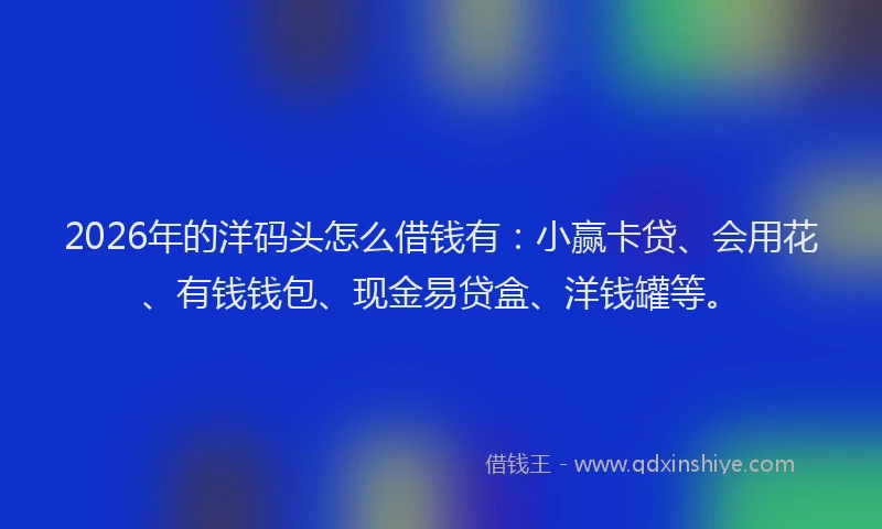 2026年的洋码头怎么借钱有：小赢卡贷、会用花、有钱钱包、现金易贷盒、洋钱罐等。