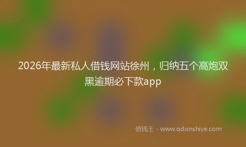 2026年最新私人借钱网站徐州，归纳五个高炮双黑逾期必下款app