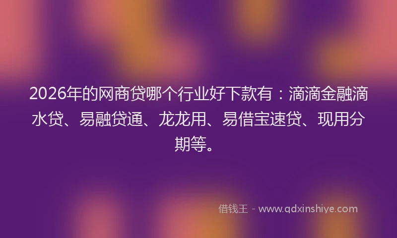 2026年的网商贷哪个行业好下款有：滴滴金融滴水贷、易融贷通、龙龙用、易借宝速贷、现用分期等。