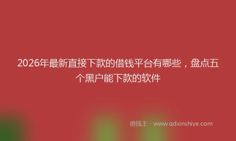 2026年最新直接下款的借钱平台有哪些，盘点五个黑户能下款的软件