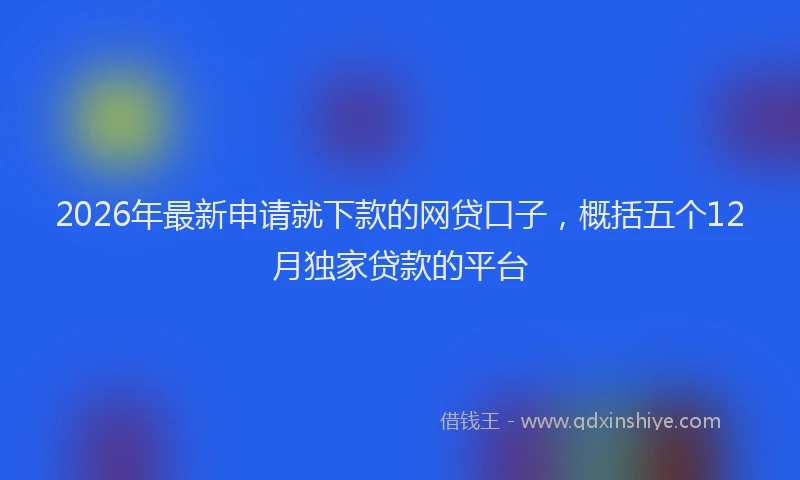 2026年最新申请就下款的网贷口子，概括五个12月独家贷款的平台
