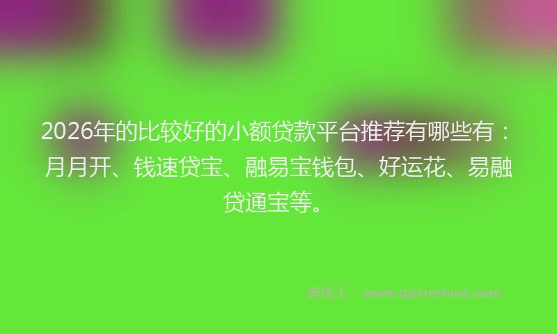 2026年的比较好的小额贷款平台推荐有哪些有：月月开、钱速贷宝、融易宝钱包、好运花、易融贷通宝等。
