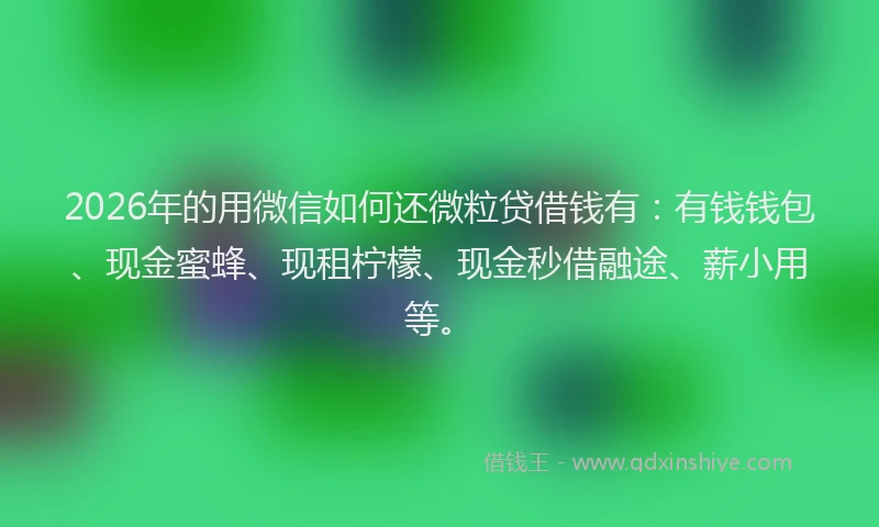 2026年的用微信如何还微粒贷借钱有：有钱钱包、现金蜜蜂、现租柠檬、现金秒借融途、薪小用等。