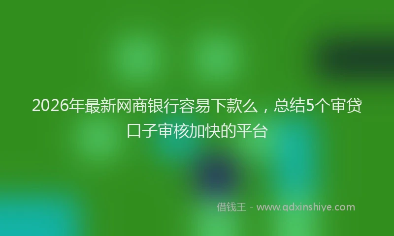 2026年最新网商银行容易下款么，总结5个审贷口子审核加快的平台