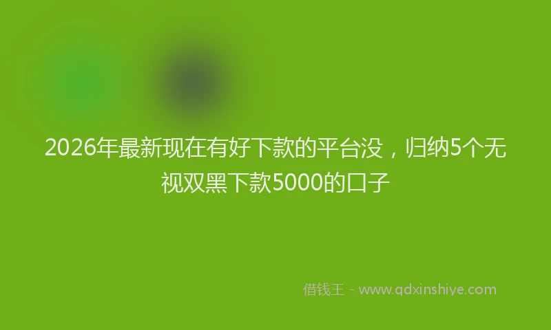 2026年最新现在有好下款的平台没，归纳5个无视双黑下款5000的口子