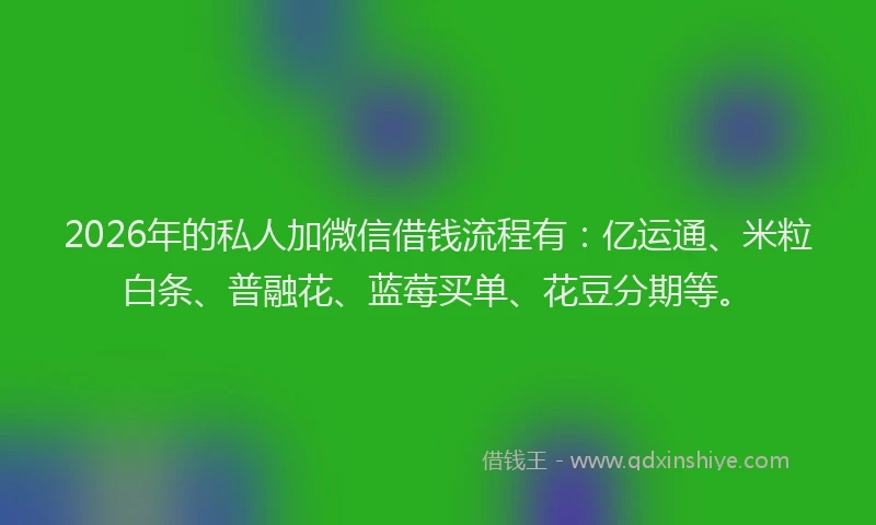 2026年的私人加微信借钱流程有：亿运通、米粒白条、普融花、蓝莓买单、花豆分期等。