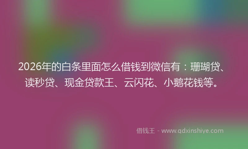 2026年的白条里面怎么借钱到微信有：珊瑚贷、读秒贷、现金贷款王、云闪花、小鹅花钱等。