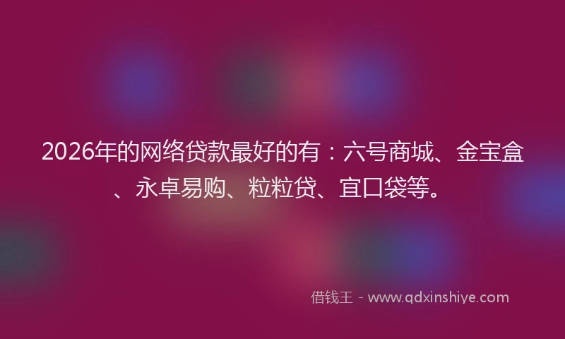 2026年的网络贷款最好的有：六号商城、金宝盒、永卓易购、粒粒贷、宜口袋等。