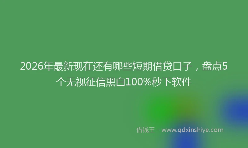 2026年最新现在还有哪些短期借贷口子，盘点5个无视征信黑白100%秒下软件