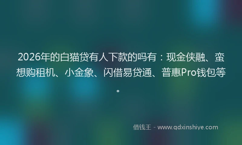 2026年的白猫贷有人下款的吗有：现金侠融、蛮想购租机、小金象、闪借易贷通、普惠Pro钱包等。