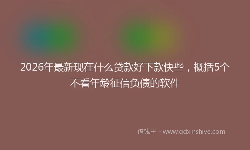 2026年最新现在什么贷款好下款快些，概括5个不看年龄征信负债的软件
