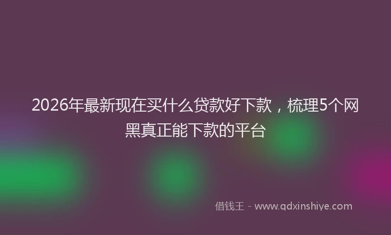 2026年最新现在买什么贷款好下款，梳理5个网黑真正能下款的平台