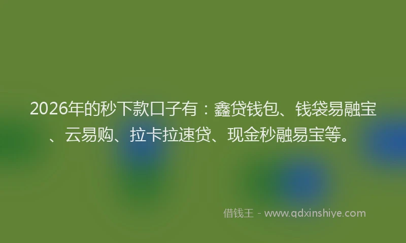 2026年的秒下款口子有：鑫贷钱包、钱袋易融宝、云易购、拉卡拉速贷、现金秒融易宝等。