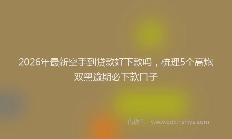 2026年最新空手到贷款好下款吗，梳理5个高炮双黑逾期必下款口子