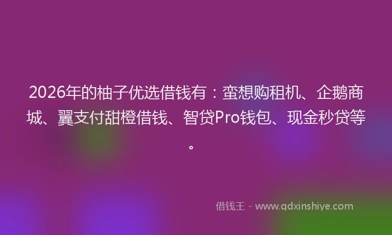 2026年的柚子优选借钱有：蛮想购租机、企鹅商城、翼支付甜橙借钱、智贷Pro钱包、现金秒贷等。