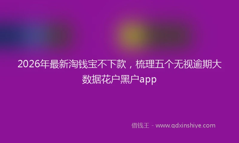 2026年最新淘钱宝不下款，梳理五个无视逾期大数据花户黑户app