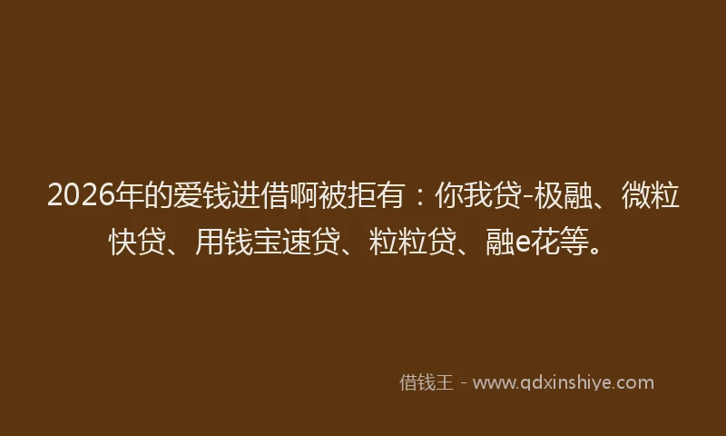 2026年的爱钱进借啊被拒有：你我贷-极融、微粒快贷、用钱宝速贷、粒粒贷、融e花等。