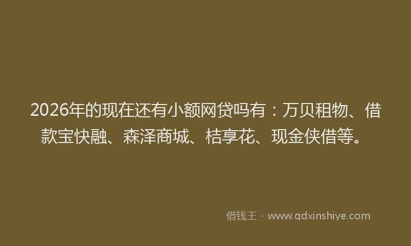 2026年的现在还有小额网贷吗有：万贝租物、借款宝快融、森泽商城、桔享花、现金侠借等。